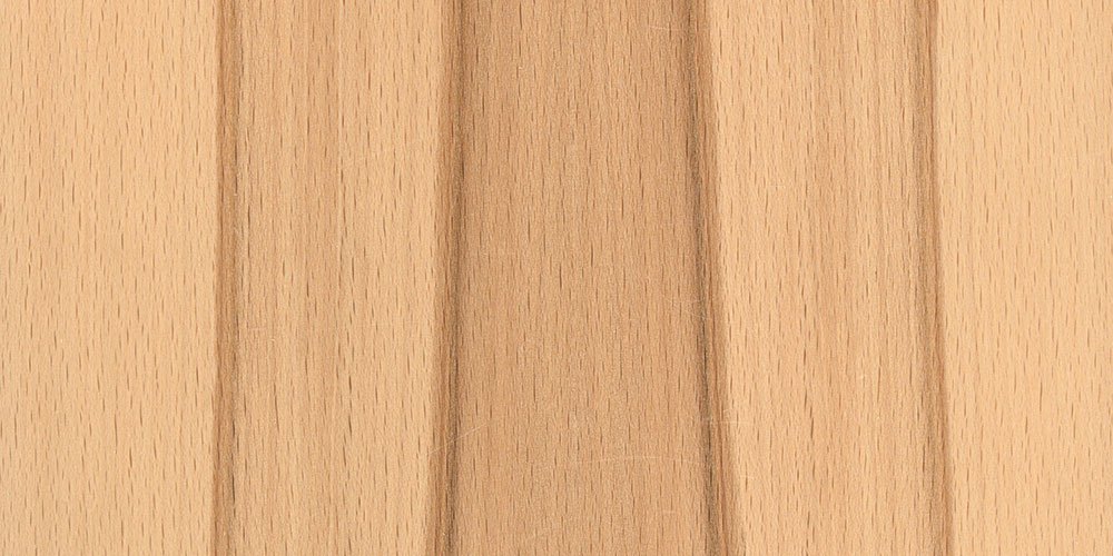 Beech core sample